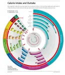 Calorie_Intake_&_Outtake.jpg