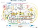 Global_Food_System.jpg