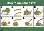 Kiwi.jpg