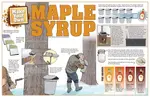 Maple_Syrup.jpg