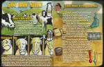 Raw_Milk.jpg