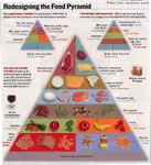 Redesigned_Food_Pyramid.jpg