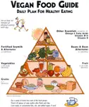 vegan_food_guide.jpg