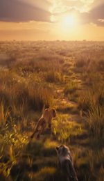 241rxf2tswd.mp4 241rxf2tswd.mp4