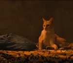 t1vrrgmg8if.png t1vrrgmg8if.png