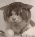 qk9tkynx77e.mp4 qk9tkynx77e.mp4