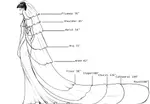 best-veil-for-your-wedding-dress-5.jpg