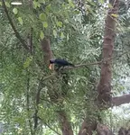 zfuhu8kmvh.jpg zfuhu8kmvh.jpg