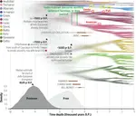 oh4x6z2w8zf.png oh4x6z2w8zf.png