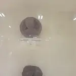 IMG_20250829_155627.jpg IMG_20250829_155627.jpg