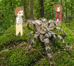 kangar valley national park bastar.png