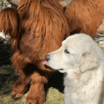 8jr9U7eId0jxbsKTxkfVZI2HUaLXTghRJ886Qqw5FX0.mp4