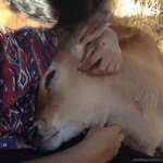 Gs4nn-P6t52amaOl3bQLW0oNroQzJ9ENYdJ_mfNJ0ss.webm