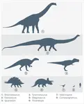 Dinosaur_Comparitive_Sizes.gif