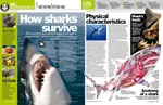 How_Sharks_Survive.jpg