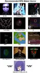 RPG Maker Horror Recs.jpg