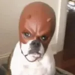 RDT_20241023_1432533437388037148752612.jpg RDT_20241023_1432533437388037148752612.jpg